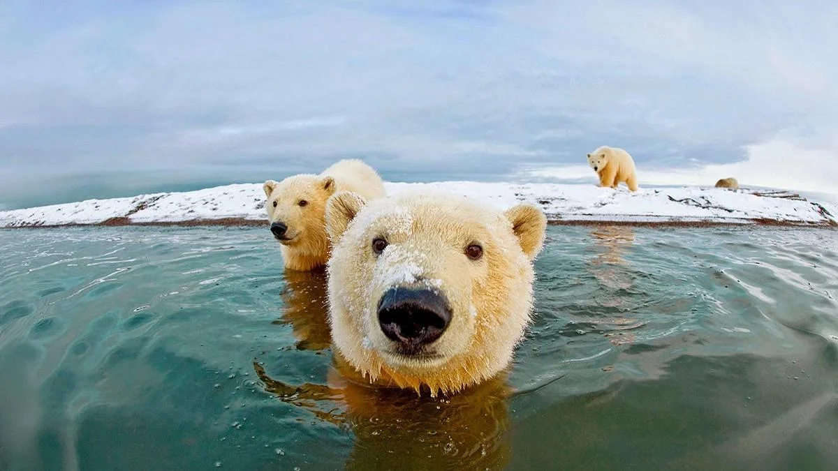 Природа без фотошопа: 40 удивительных кадров фотографии, природа, креатив, без фотошопа, необычные кадры, фотоискусство, случайность, красота