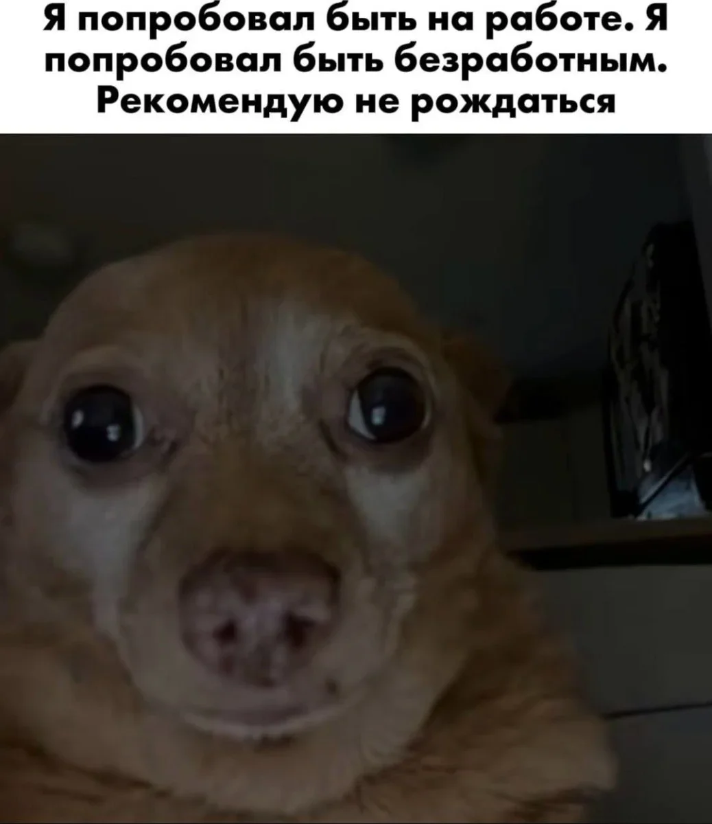Юмор за день: удобрение и смех юмор, приколы, мемы, картинки, смешное, подборка, день
