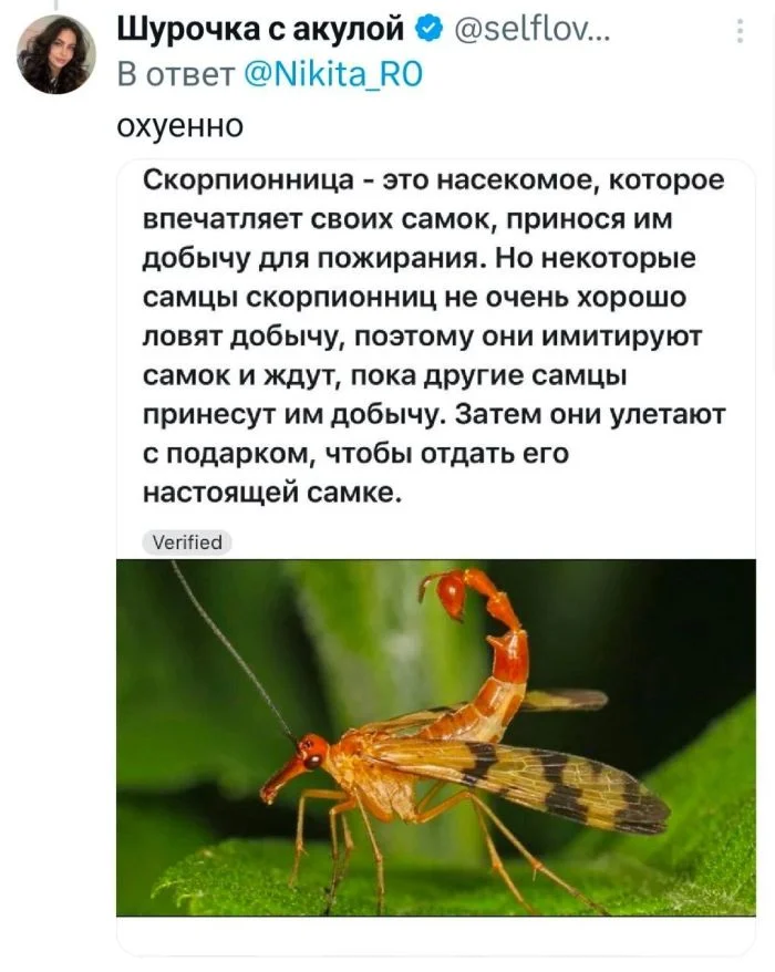 Свежие мемы и шутки из интернета