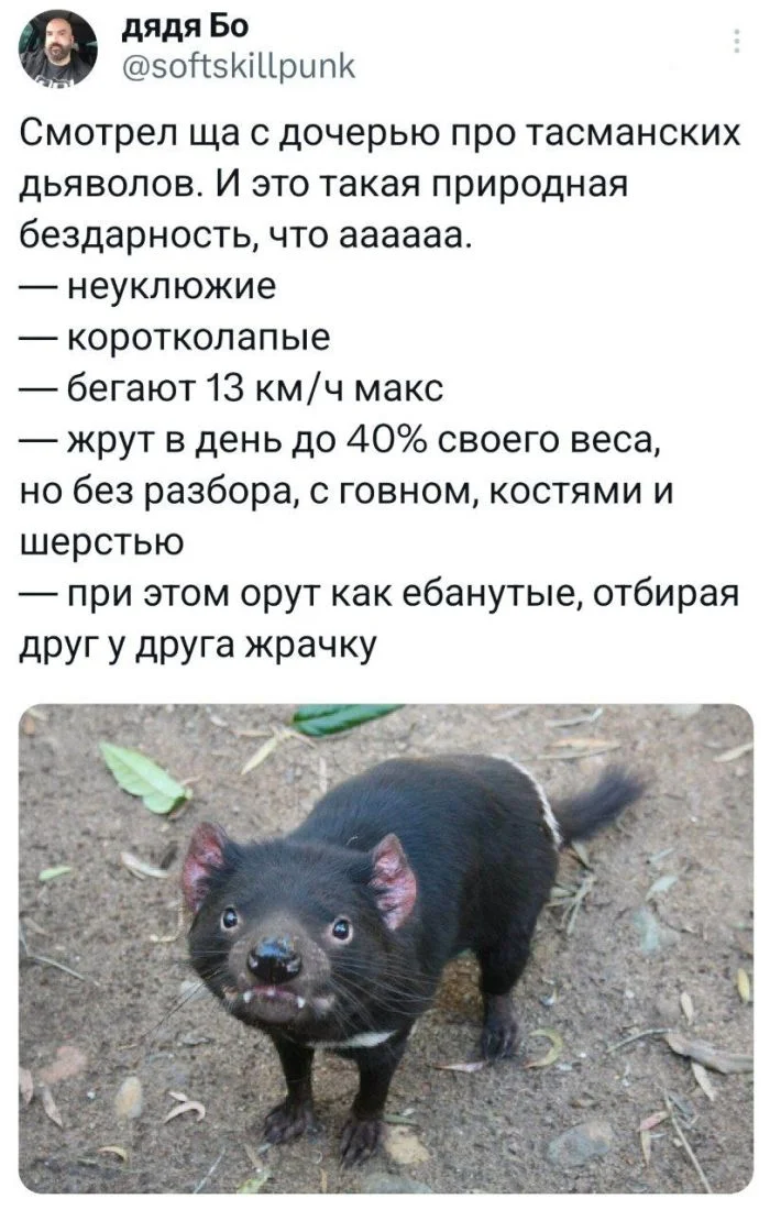 Свежие мемы и шутки из интернета мемы, приколы, шутки, юмор, картинки