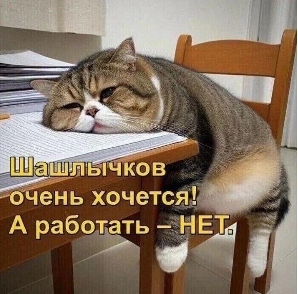 Топ мемов мая 2026: от дачи до хантавируса мемы, приколы, юмор, май, 2026, картинки, подборка, интернет, шашлык, дача, похмелье