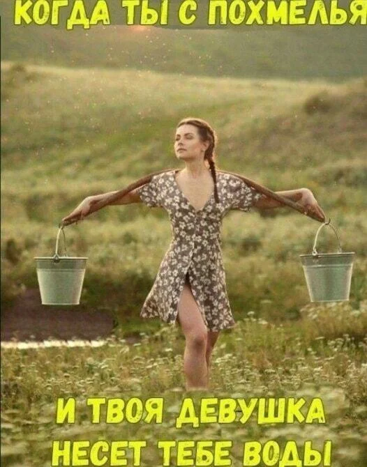 Топ мемов мая 2026: от дачи до хантавируса мемы, приколы, юмор, май, 2026, картинки, подборка, интернет, шашлык, дача, похмелье
