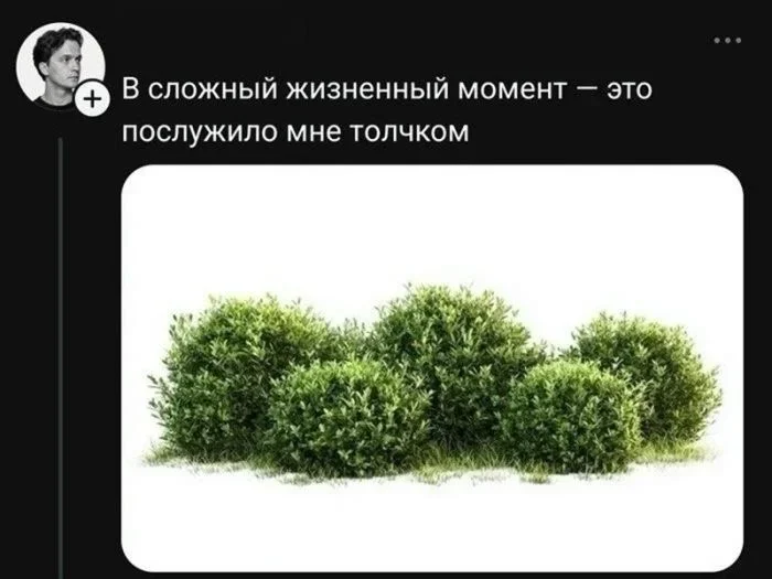 Утренние мемы 26 мая: когда внешность обманчива, а взросление неизбежно мемы, юмор, приколы, картинки, утро, вторник, подборка