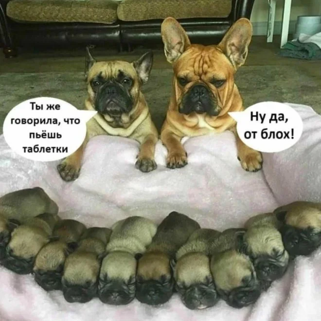 Смешные картинки на утро 27 мая: про врачей и романтику