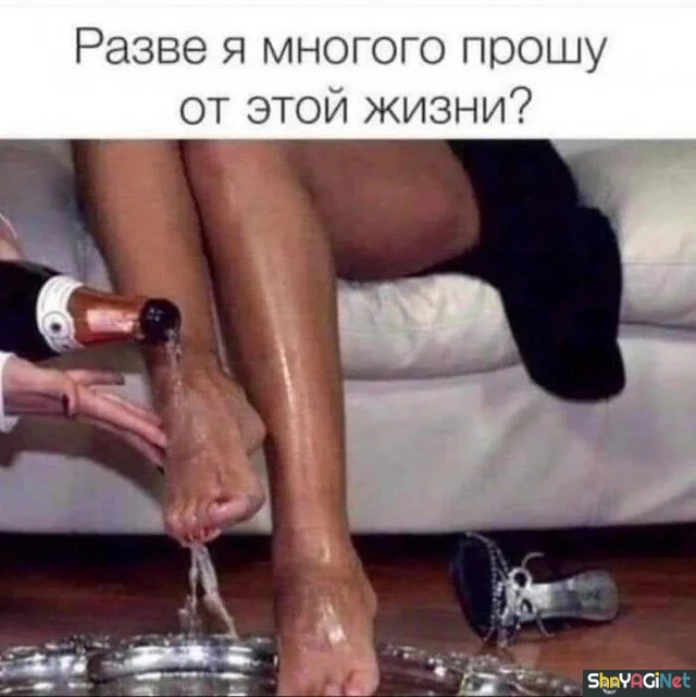 Майские приколы. Финал приколы, май, юмор, картинки, мемы, подборка, смешное, настроение