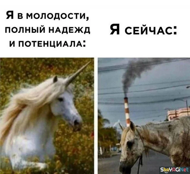 Майские приколы. Финал приколы, май, юмор, картинки, мемы, подборка, смешное, настроение