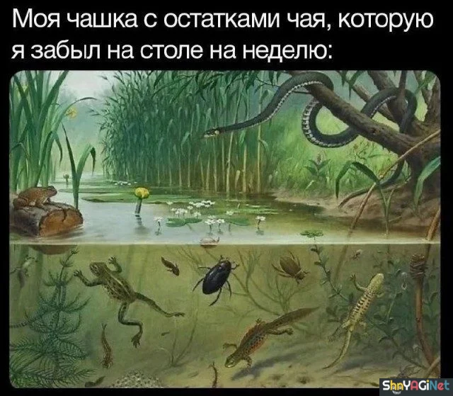 Майские приколы. Финал приколы, май, юмор, картинки, мемы, подборка, смешное, настроение