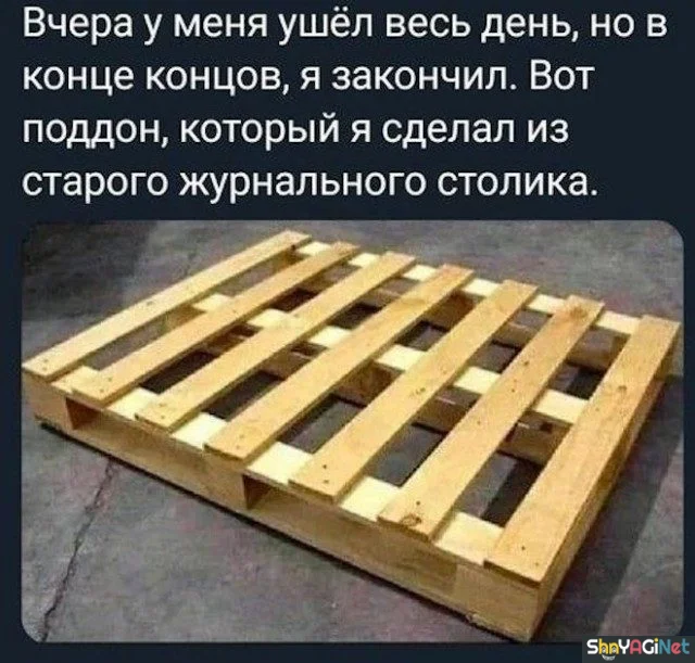 Майские приколы. Финал приколы, май, юмор, картинки, мемы, подборка, смешное, настроение