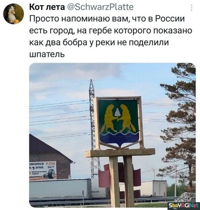 Июньский фейспалм: 25 лучших комментариев недели приколы, комментарии, соцсети, юмор, июнь, подборка