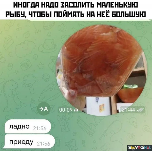 Угарные СМС-приколы: порция смеха на весь день смс приколы, смешные переписки, юмор, приколы, угар