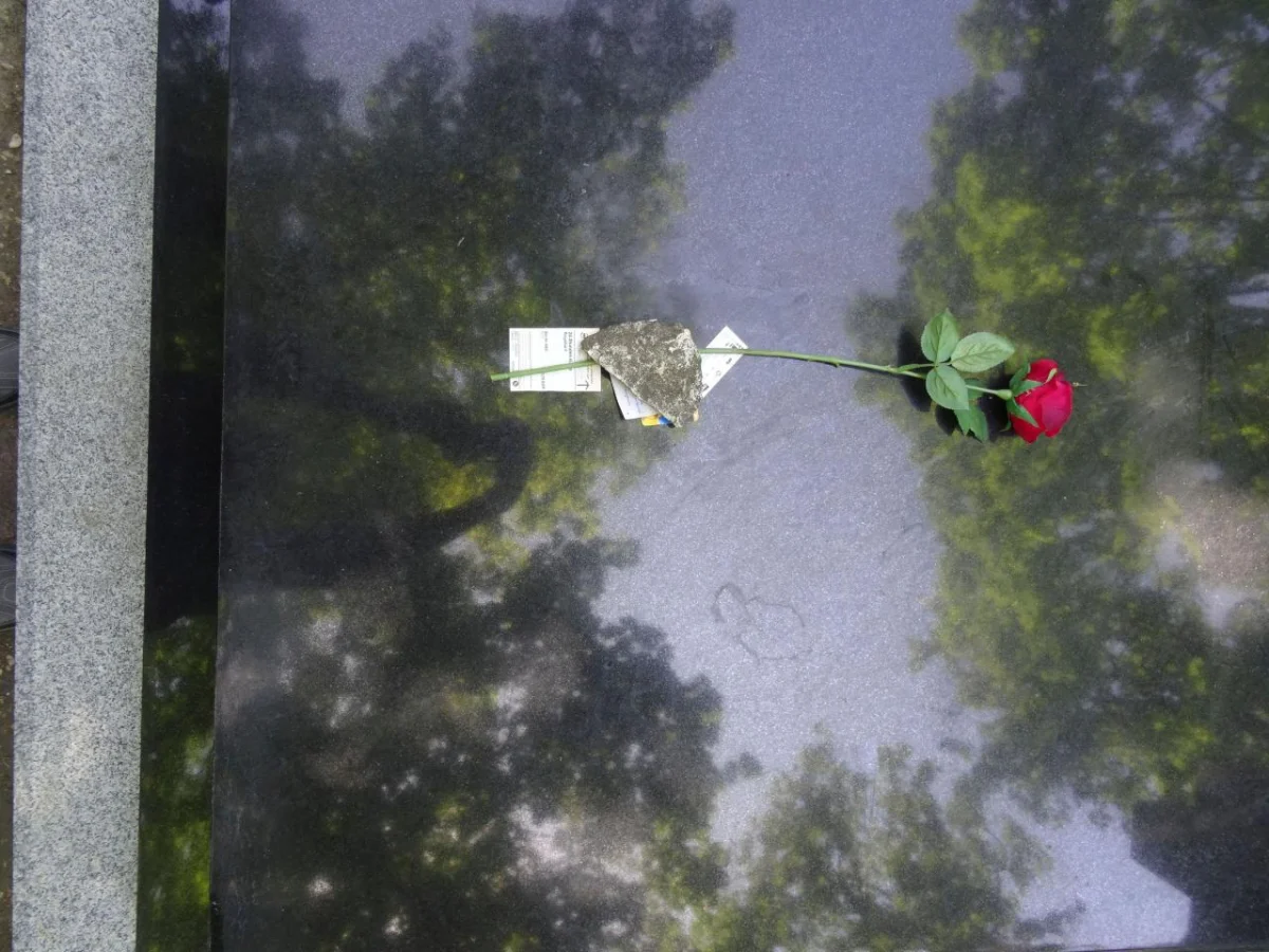 Ушедшие в тень: звезды, покинувшие нас в мае 2026 года знаменитости, смерть, май 2026, некролог, кино, литература, телевидение