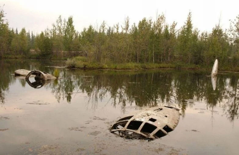 25 кадров, от которых мороз по коже: Время и природа стерли людей с лица земли заброшки, природа, фото, мистика, руины, забытые места