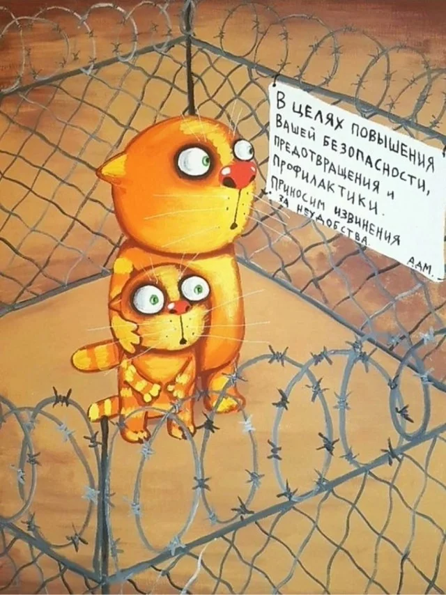 Заряд бодрости и смеха: утренний сборник мемов смешные картинки, мемы, шутки, утро, позитив, приколы, юмор, хорошее настроение