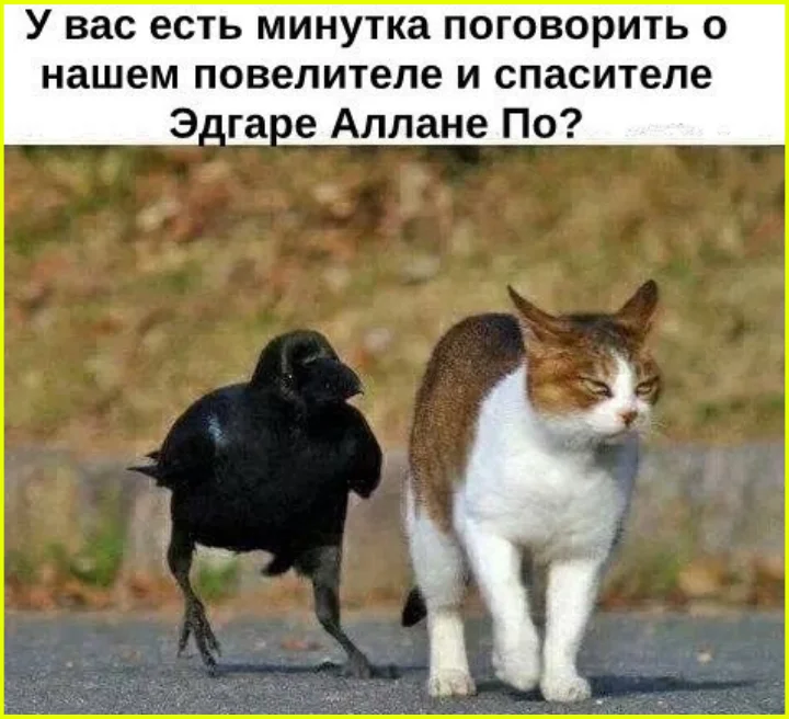 Срочно в солярий: приколы про девушек солярий, эпиляция, белая и пушистая, приколы, мемы