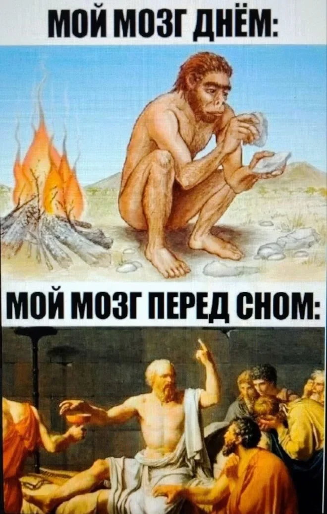 Мемная зарядка на 28 мая: гитара и не только мемы, приколы, юмор, подборка, картинки