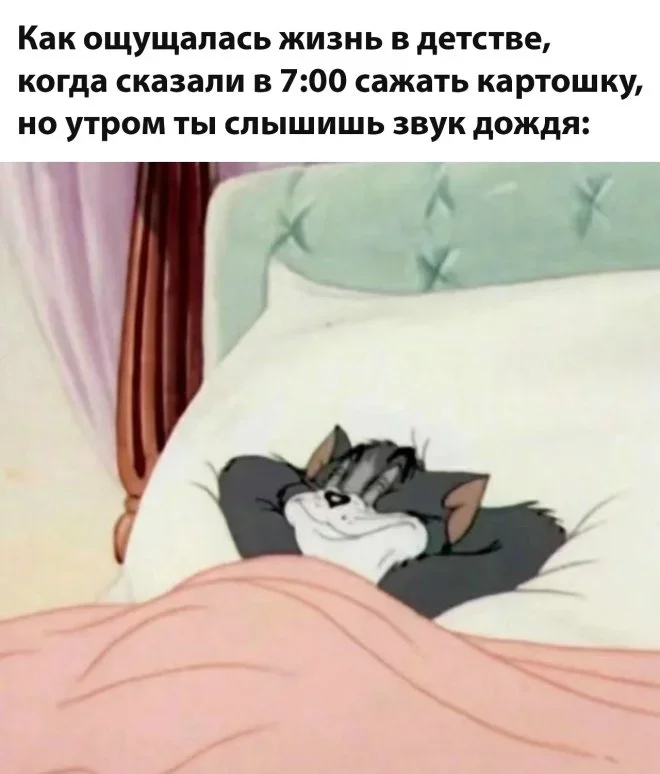 Мемная зарядка на 28 мая: гитара и не только мемы, приколы, юмор, подборка, картинки