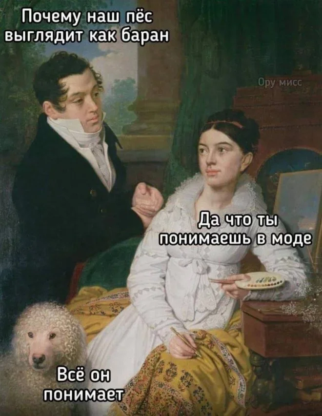 Мемная зарядка на 28 мая: гитара и не только мемы, приколы, юмор, подборка, картинки