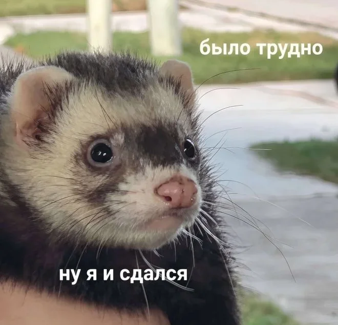 Мемная зарядка на 28 мая: гитара и не только мемы, приколы, юмор, подборка, картинки