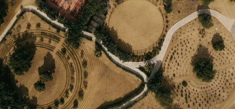 14 кадров из отеля, который называют оазисом в мексиканской пустыне Acre Resort, Мексика, Сан-Хосе-дель-Кабо, отель в пустыне, домики на деревьях, оазис, мескаль, путешествия