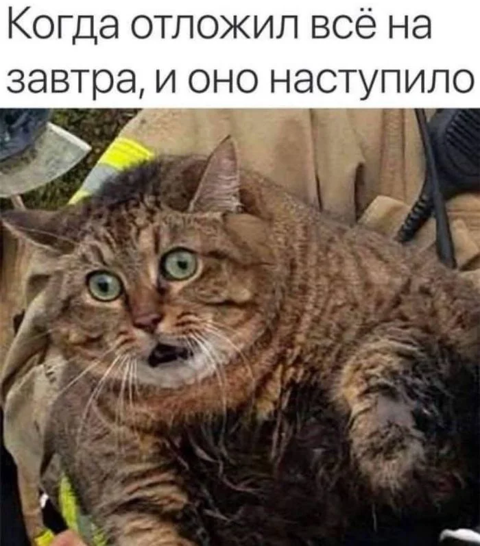 Пятница! Время для улыбок и позитива! пятница, мемы, приколы, юмор, позитив, смешные картинки, выходные
