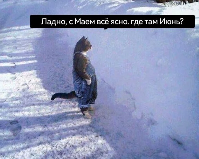 Пятница! Время для улыбок и позитива! пятница, мемы, приколы, юмор, позитив, смешные картинки, выходные