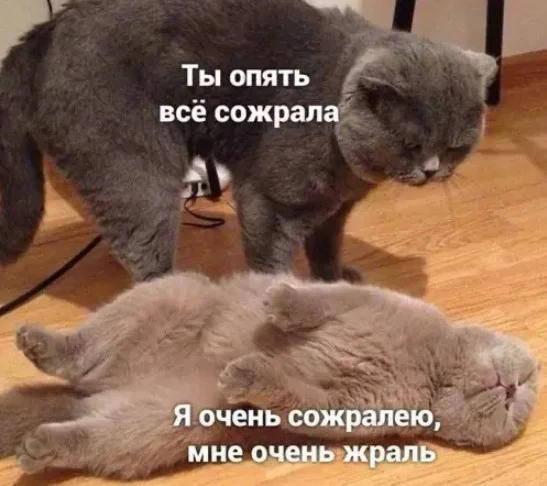 Пятница! Время для улыбок и позитива! пятница, мемы, приколы, юмор, позитив, смешные картинки, выходные