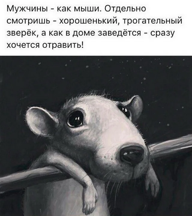 Пятничный угар: свежие мемы, которые разорвут ваш мозг пятница, мемы, приколы, юмор, настроение, выходные, смешные картинки