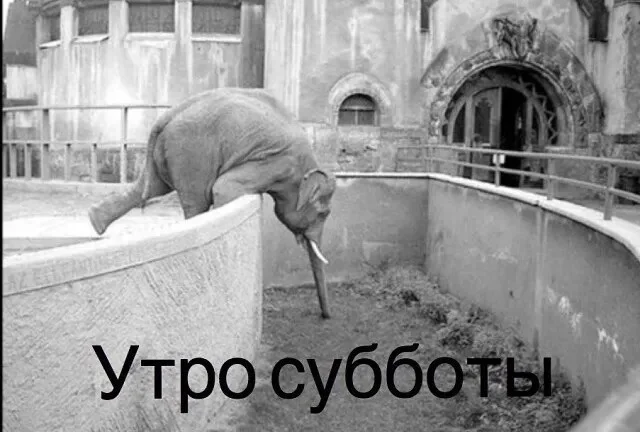 Пятничный угар: свежие мемы, которые разорвут ваш мозг пятница, мемы, приколы, юмор, настроение, выходные, смешные картинки