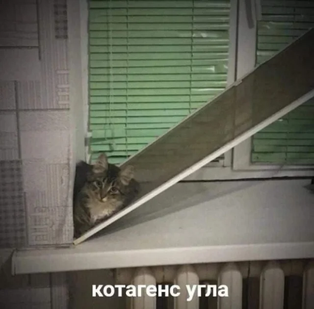 Пятничный угар: свежие мемы, которые разорвут ваш мозг пятница, мемы, приколы, юмор, настроение, выходные, смешные картинки