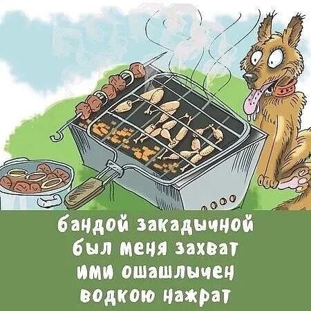 Пятничный угар: свежие мемы, которые разорвут ваш мозг пятница, мемы, приколы, юмор, настроение, выходные, смешные картинки