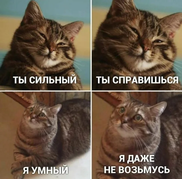 Пятничный угар: свежие мемы, которые разорвут ваш мозг пятница, мемы, приколы, юмор, настроение, выходные, смешные картинки