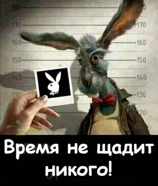 Пятничный угар: свежие мемы, которые разорвут ваш мозг пятница, мемы, приколы, юмор, настроение, выходные, смешные картинки