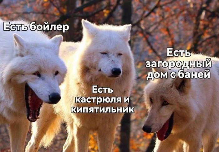 Пятничный угар: свежие мемы, которые разорвут ваш мозг пятница, мемы, приколы, юмор, настроение, выходные, смешные картинки