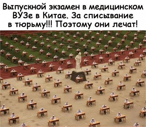 Пятничный угар: свежие мемы, которые разорвут ваш мозг пятница, мемы, приколы, юмор, настроение, выходные, смешные картинки