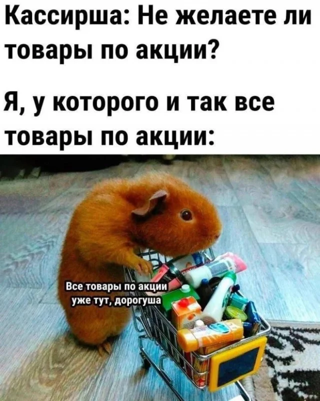 Пятничный угар: свежие мемы, которые разорвут ваш мозг пятница, мемы, приколы, юмор, настроение, выходные, смешные картинки