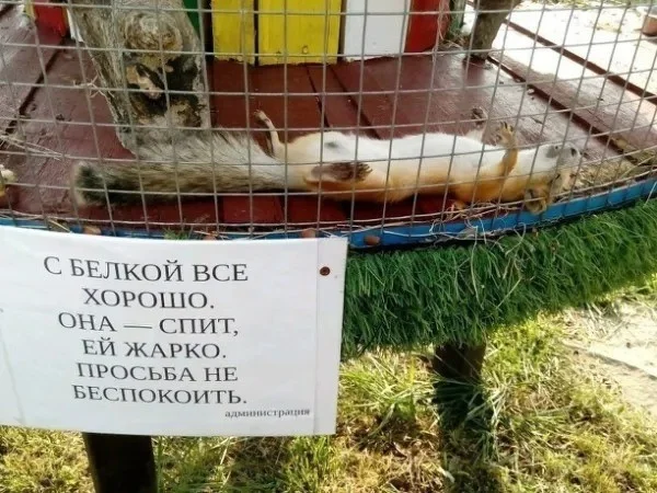 Пятничный угар: свежие мемы, которые разорвут ваш мозг пятница, мемы, приколы, юмор, настроение, выходные, смешные картинки