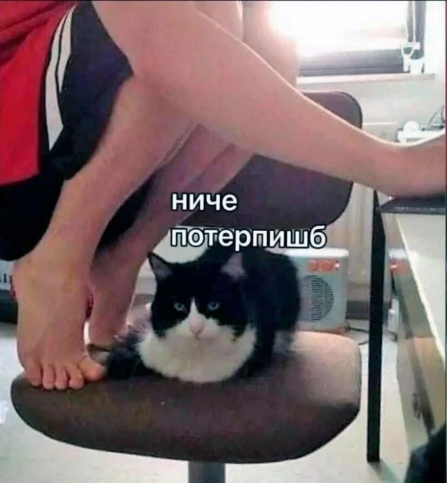 Пятничный угар: свежие мемы, которые разорвут ваш мозг пятница, мемы, приколы, юмор, настроение, выходные, смешные картинки