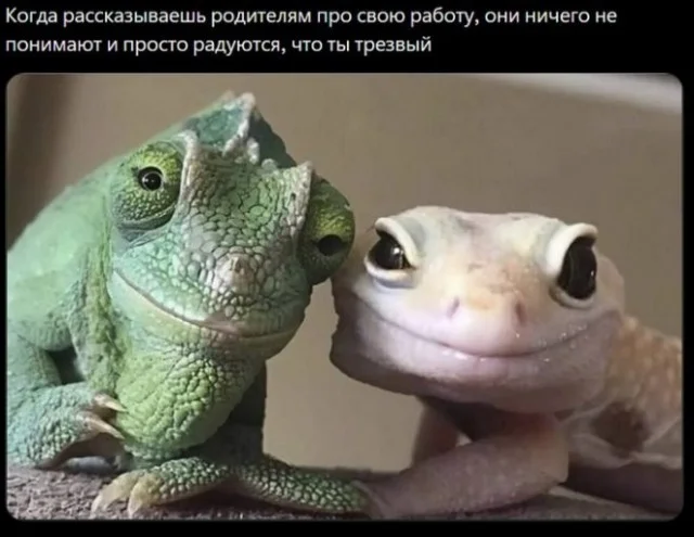 Пятничный угар: свежие мемы, которые разорвут ваш мозг пятница, мемы, приколы, юмор, настроение, выходные, смешные картинки