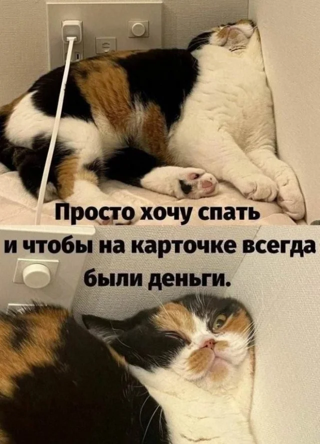 Пятничный угар: свежие мемы, которые разорвут ваш мозг пятница, мемы, приколы, юмор, настроение, выходные, смешные картинки