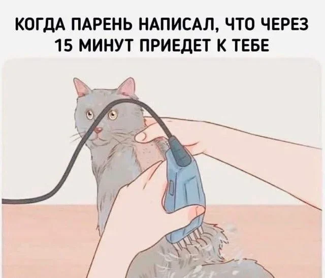 Утренняя порция смеха: мемы про поздние звонки и шаурму мемы, юмор, приколы, картинки, подборка, 29 мая, пятница