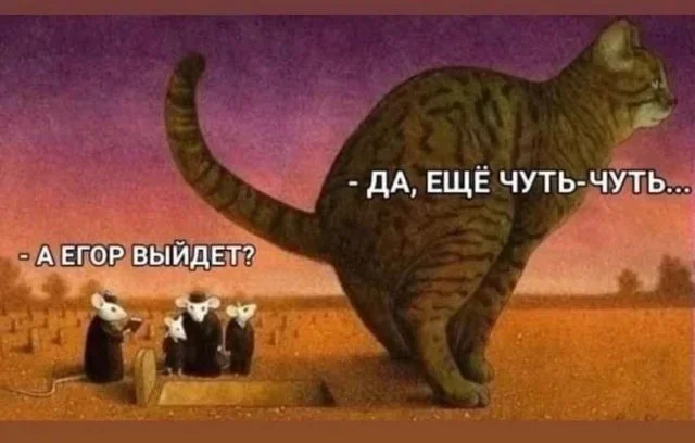 Утренняя порция смеха: мемы про поздние звонки и шаурму мемы, юмор, приколы, картинки, подборка, 29 мая, пятница