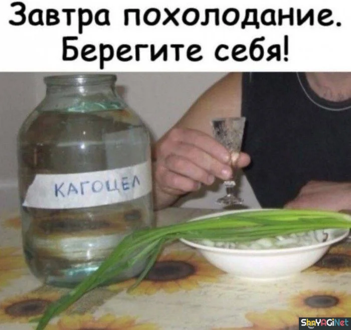 Порция веселых картинок про алкоголь приколы, алкоголь, юмор, картинки, веселье