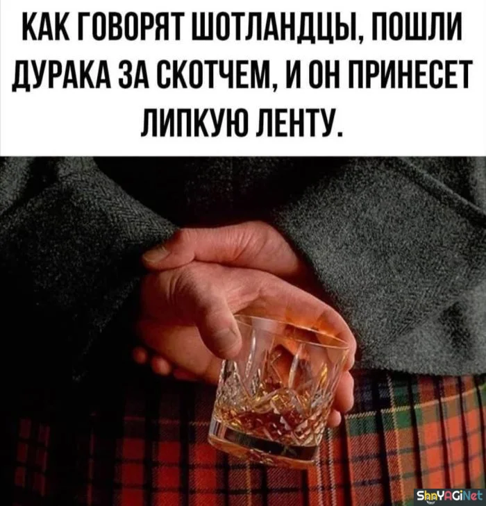 Порция веселых картинок про алкоголь приколы, алкоголь, юмор, картинки, веселье