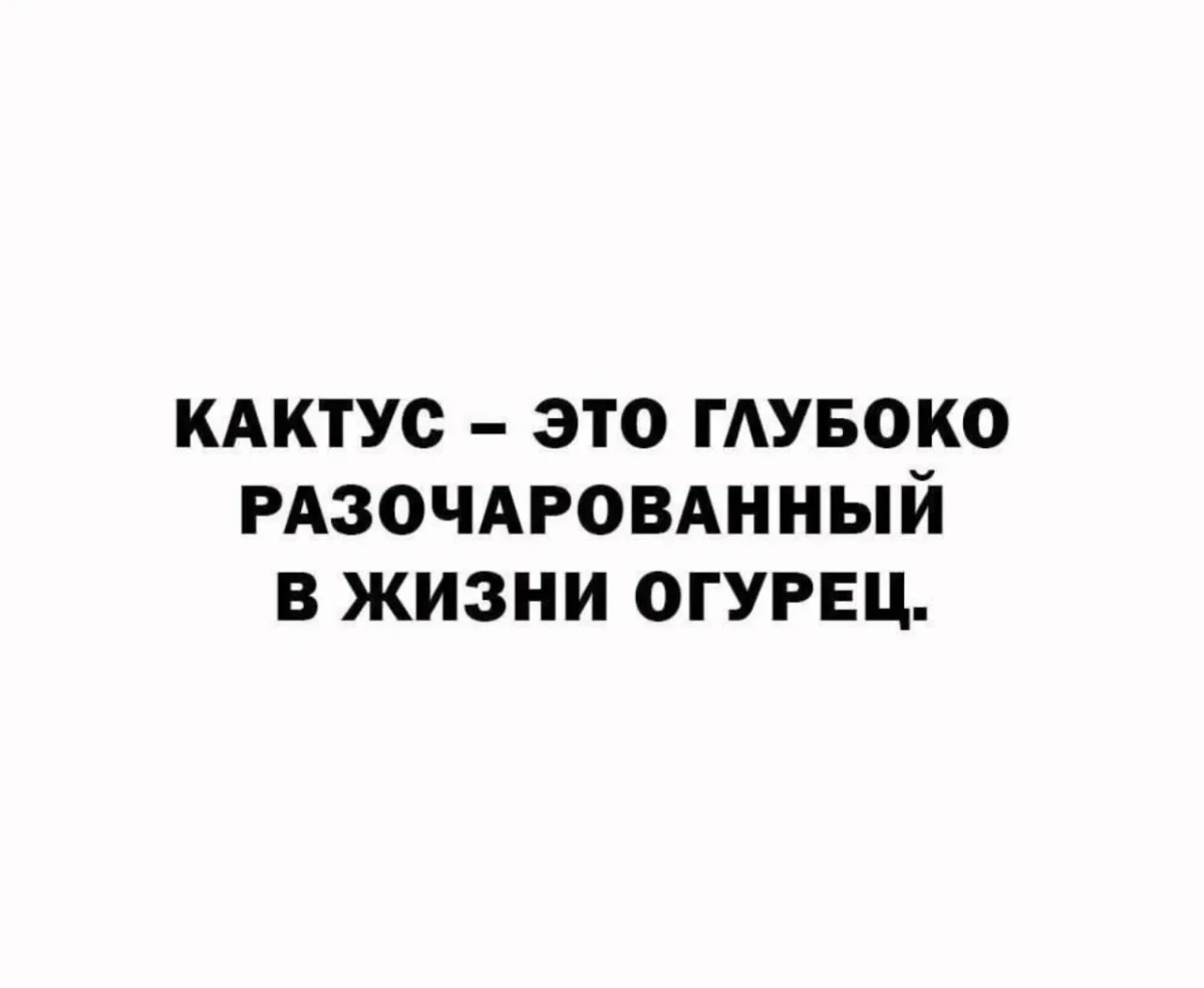 Убойный юмор: подборка мемов про лень и перфекционизм юмор, мемы, приколы, картинки, прокрастинация