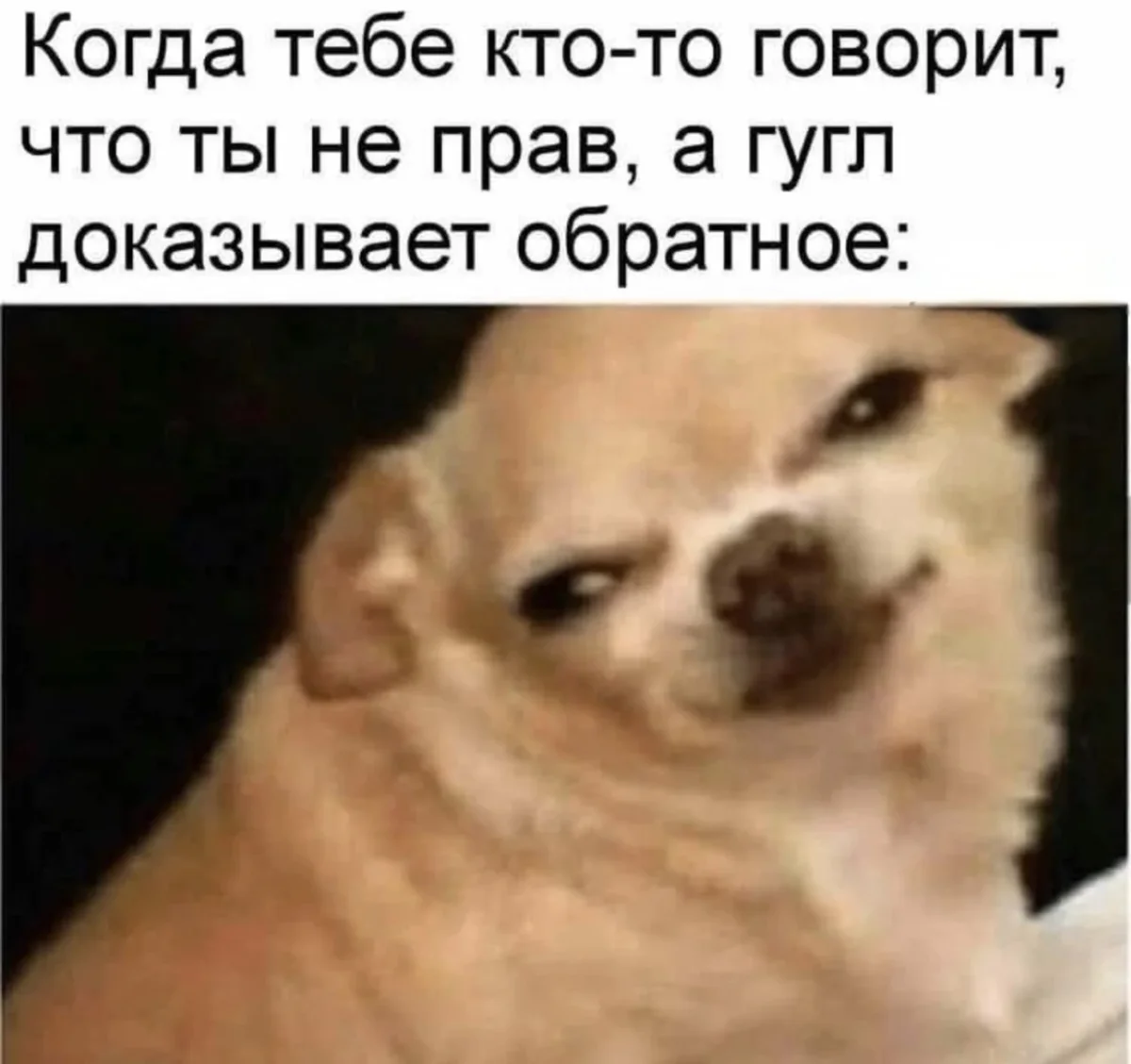 Убойный юмор: подборка мемов про лень и перфекционизм юмор, мемы, приколы, картинки, прокрастинация