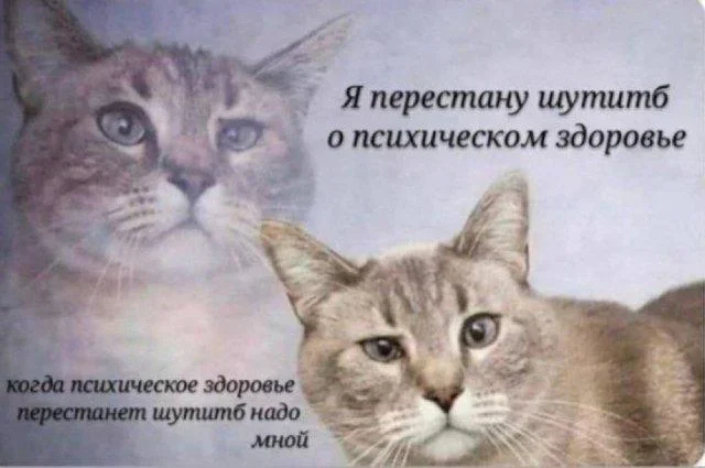 Мемное утро: кастрюля и компания мемы, юмор, подборка, приколы