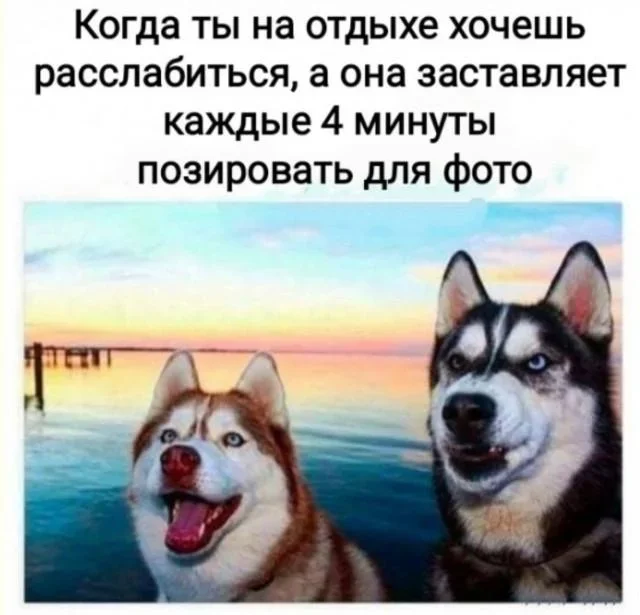 Мемное утро: кастрюля и компания мемы, юмор, подборка, приколы