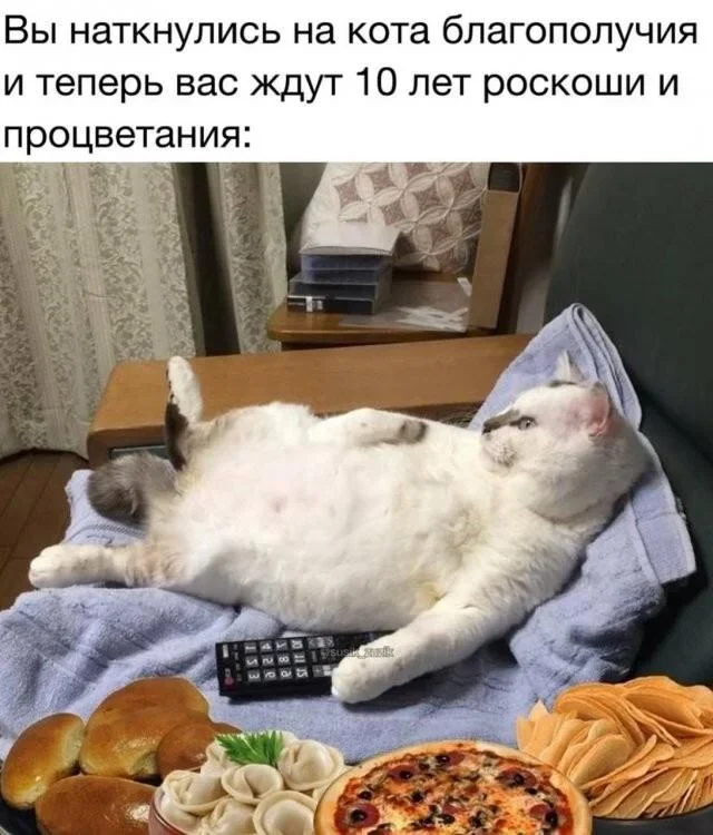 Мемное утро: кастрюля и компания мемы, юмор, подборка, приколы