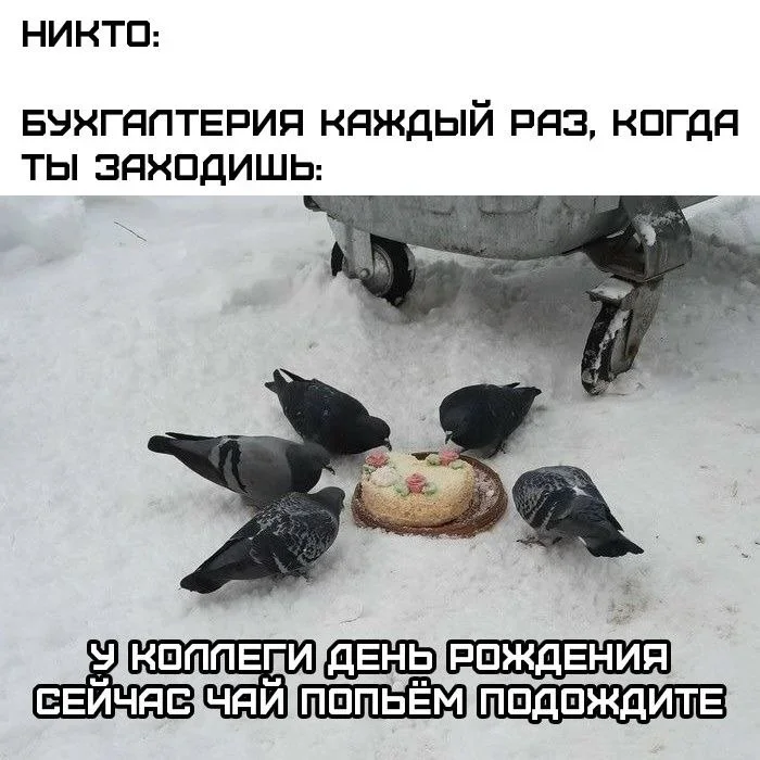 Мемное утро: кастрюля и компания мемы, юмор, подборка, приколы