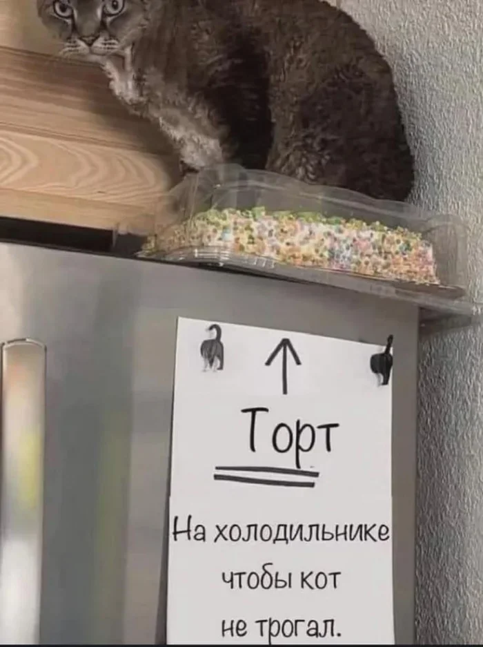 Мемное утро: кастрюля и компания мемы, юмор, подборка, приколы